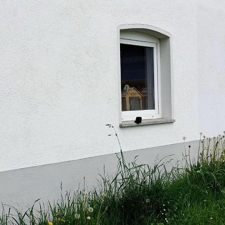 Urlaub Auf Dem Hirschhof Stehle Apartment Waldburg Exterior photo